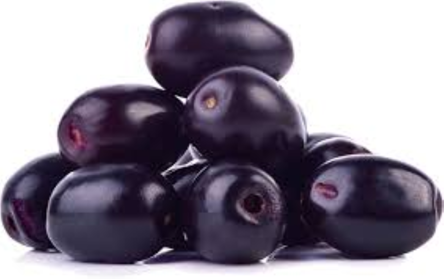 FRESH JAMUDA